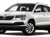 Запобіжник і реле Skoda Karoq